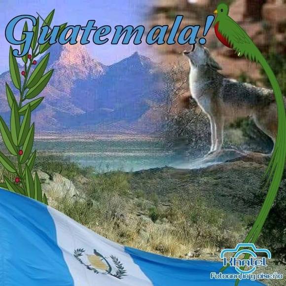 Meet your Posher, Carlos - Picture 1 of 1